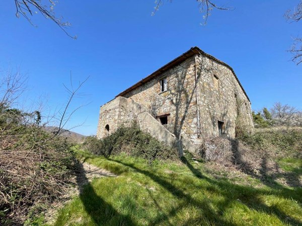 azienda agricola in vendita a Riparbella