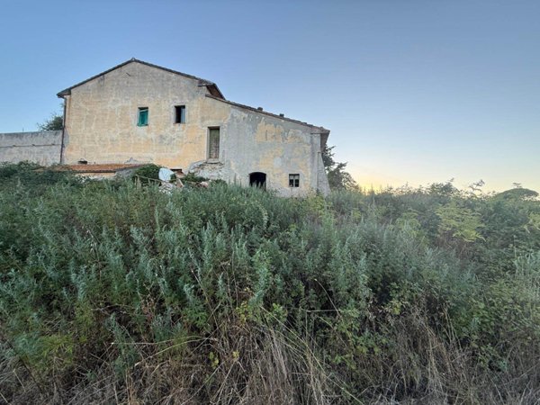 azienda agricola in vendita a Riparbella
