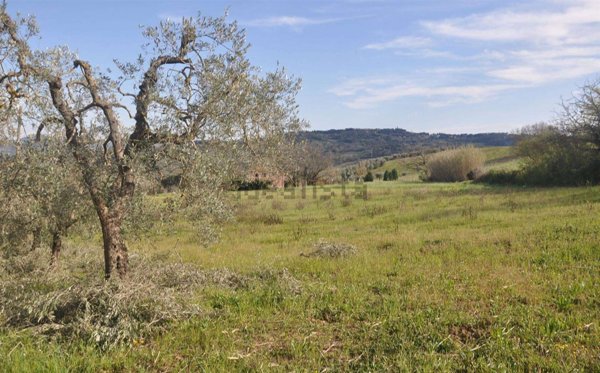 casa indipendente in vendita a Riparbella