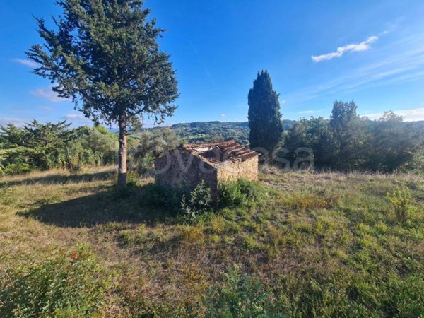 terreno agricolo in vendita a Riparbella
