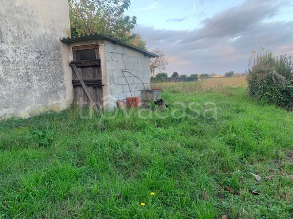 casa indipendente in vendita a San Giuliano Terme in zona Arena-Metato