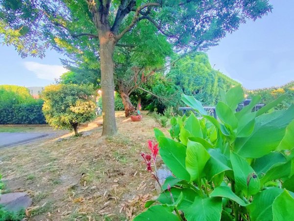 casa indipendente in vendita a San Giuliano Terme in zona Pontasserchio