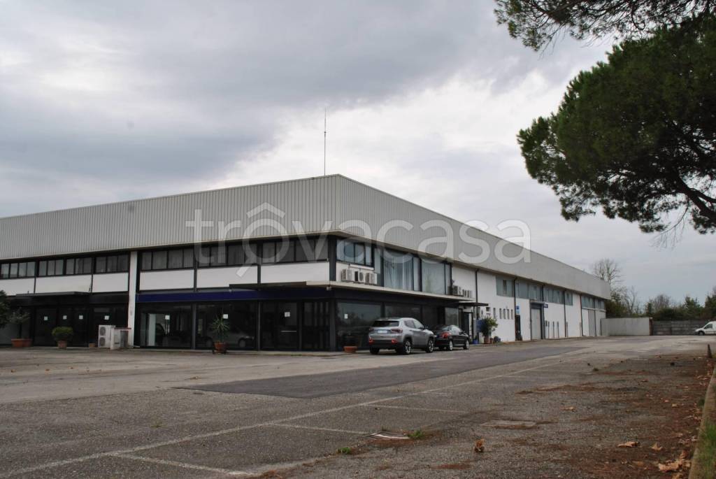 negozio in vendita a San Giuliano Terme in zona Madonna dell'Acqua