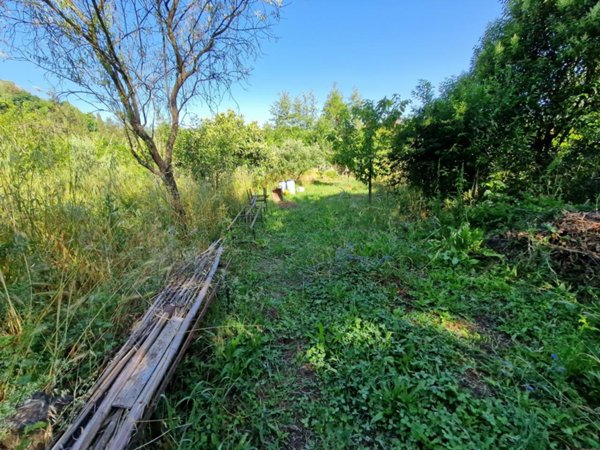terreno agricolo in vendita a San Giuliano Terme in zona Ripafratta