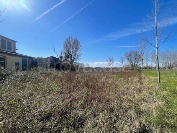 terreno agricolo in vendita a San Giuliano Terme