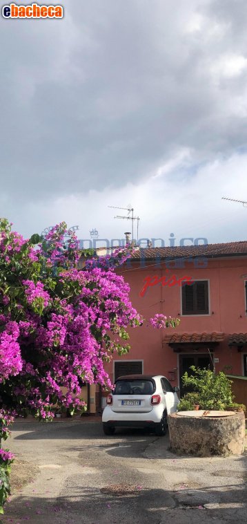 appartamento in vendita a San Giuliano Terme in zona Colignola