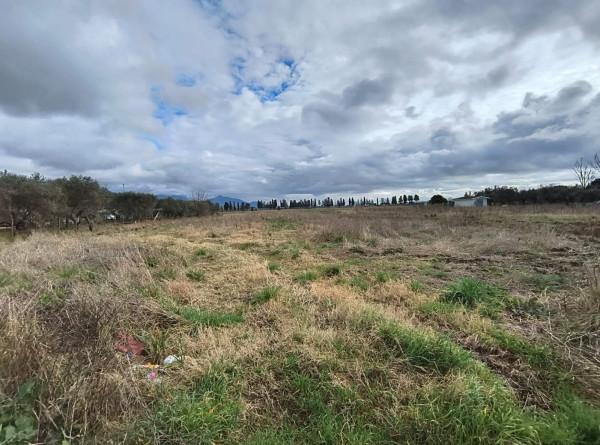terreno agricolo in vendita a San Giuliano Terme