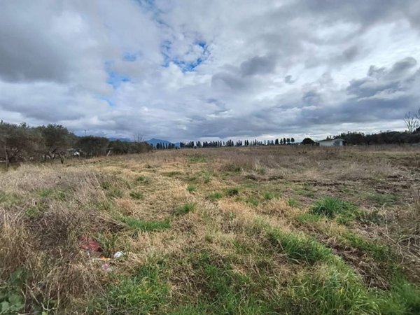 terreno agricolo in vendita a San Giuliano Terme