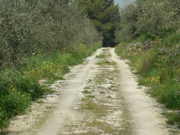 casa indipendente in vendita a San Giuliano Terme in zona Agnano