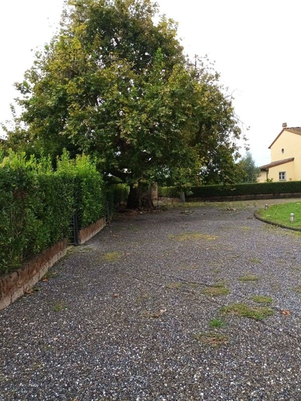 casa indipendente in vendita a San Giuliano Terme in zona Colignola