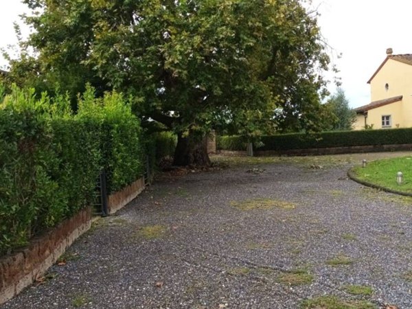casa indipendente in vendita a San Giuliano Terme in zona Colignola