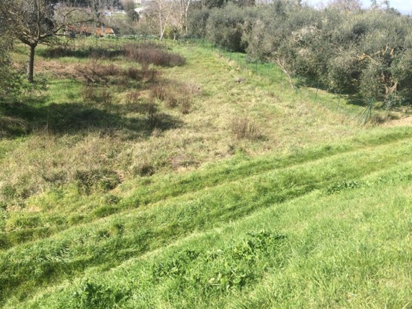 terreno agricolo in vendita a San Giuliano Terme in zona Ghezzano