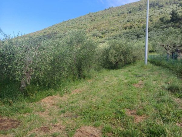 terreno agricolo in vendita a San Giuliano Terme in zona Agnano