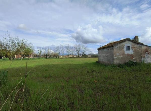 terreno agricolo in vendita a San Giuliano Terme in zona Arena-Metato