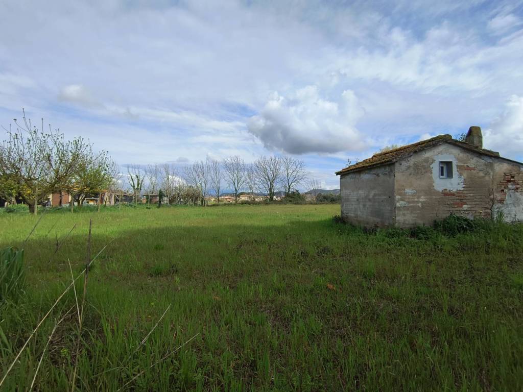 terreno agricolo in vendita a San Giuliano Terme in zona Arena-Metato