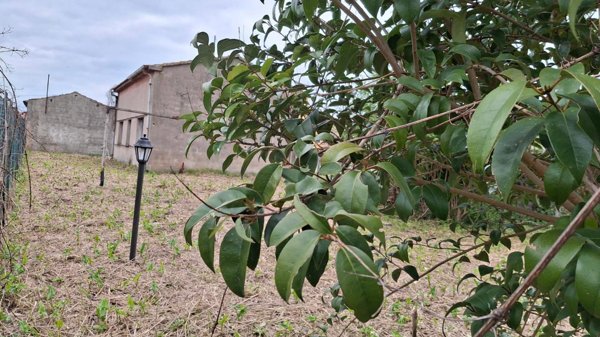 appartamento in vendita a San Giuliano Terme in zona Molina di Quosa