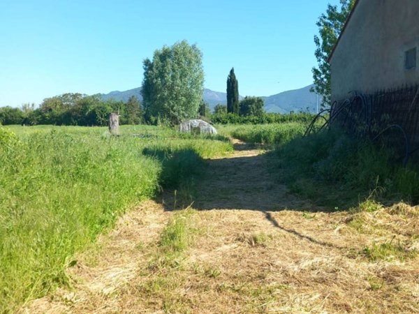 terreno agricolo in vendita a San Giuliano Terme in zona Colignola