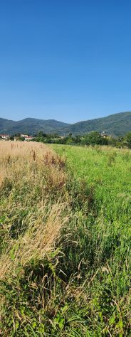 terreno agricolo in vendita a San Giuliano Terme