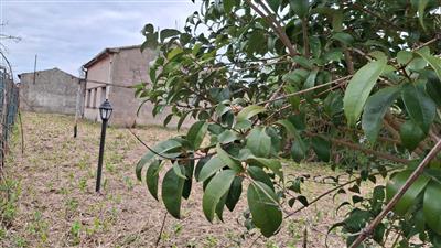appartamento in vendita a San Giuliano Terme in zona Molina di Quosa