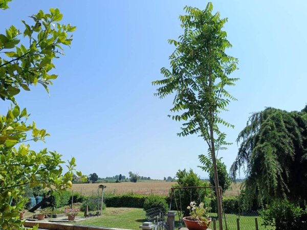 casa indipendente in vendita a San Giuliano Terme in zona Campo