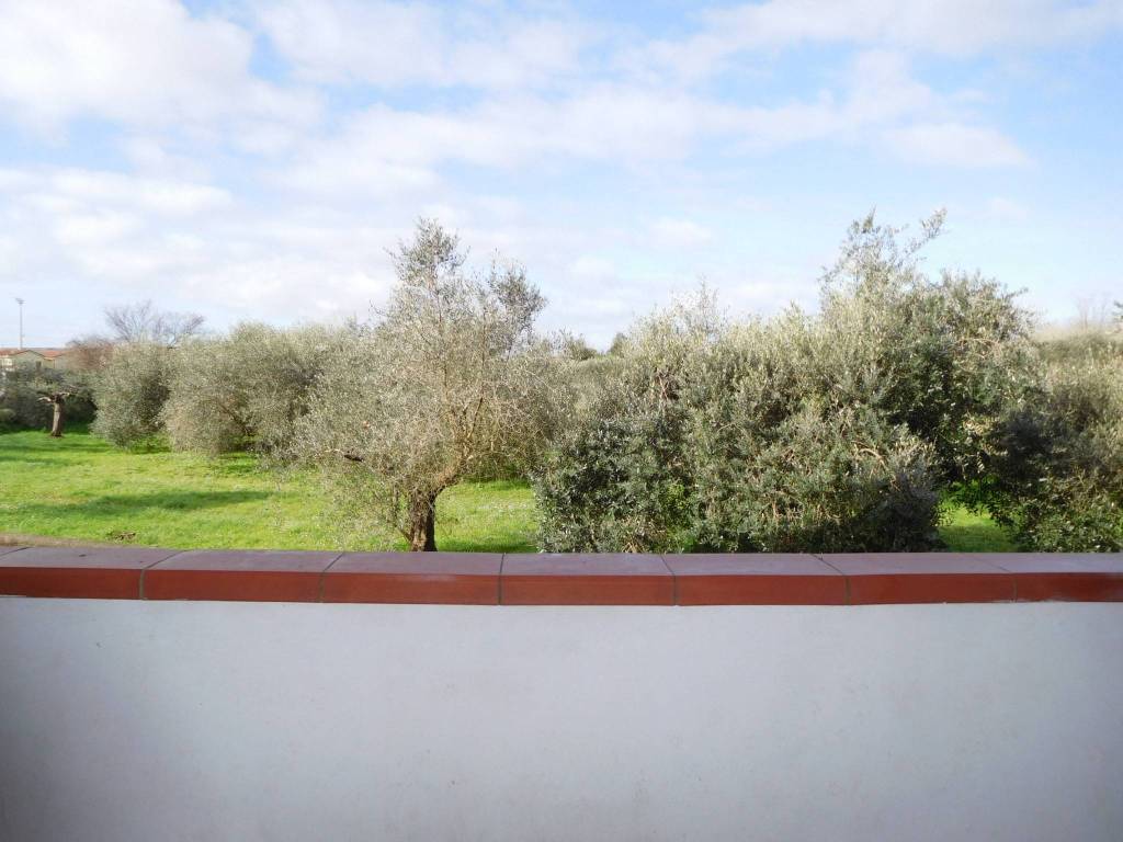 appartamento in vendita a San Giuliano Terme in zona Campo