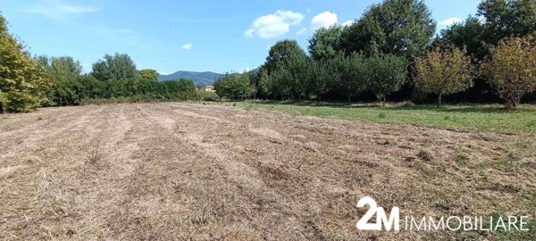 terreno agricolo in vendita a San Giuliano Terme in zona Pontasserchio