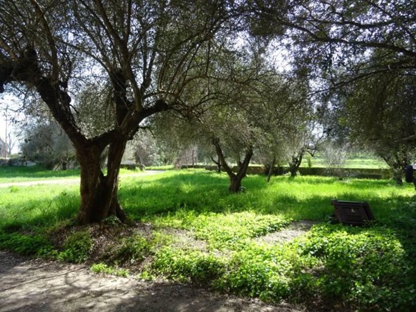 casale in vendita a San Giuliano Terme