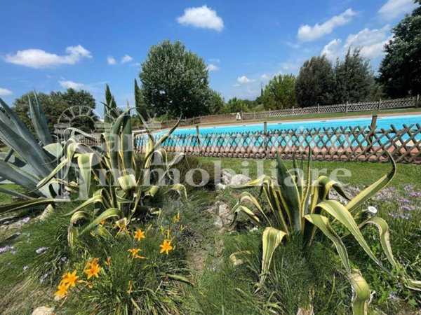 casa indipendente in vendita a San Giuliano Terme in zona Campo
