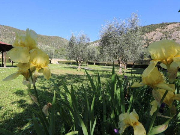 appartamento in vendita a San Giuliano Terme