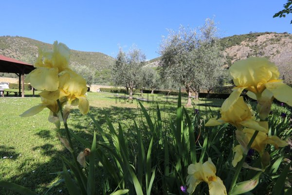 appartamento in vendita a San Giuliano Terme