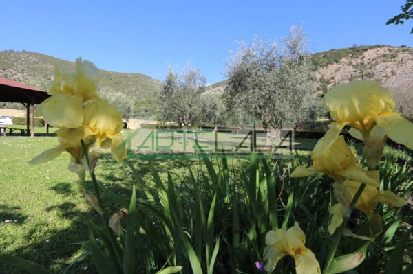 appartamento in vendita a San Giuliano Terme