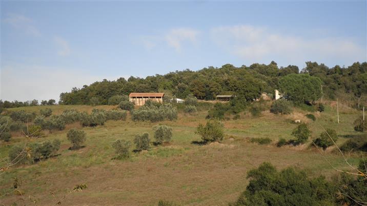 negozio in vendita a San Giuliano Terme