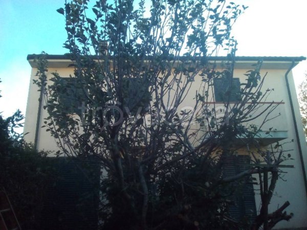 casa indipendente in vendita a San Giuliano Terme in zona Arena-Metato