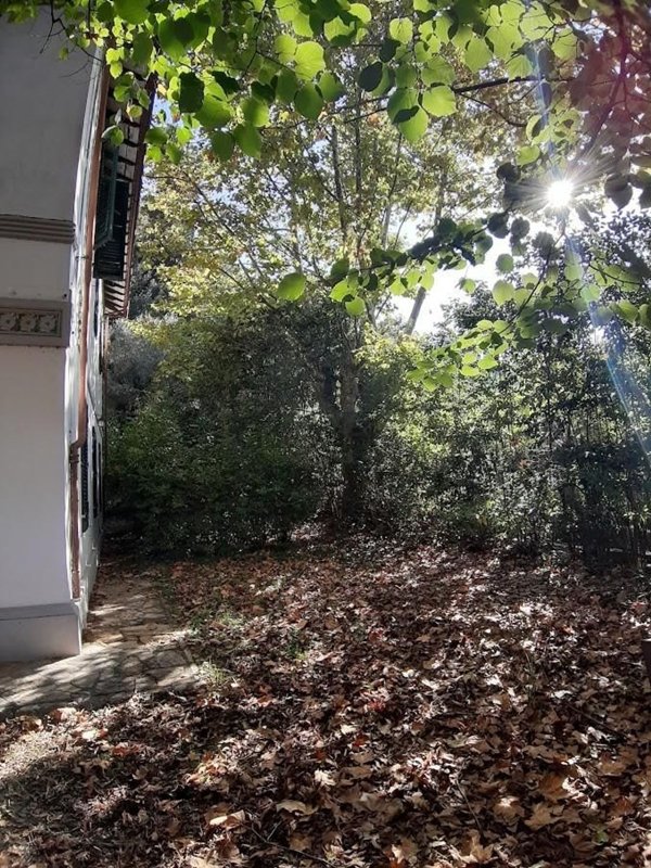 casa indipendente in vendita a San Giuliano Terme in zona Molina di Quosa