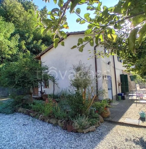 casa indipendente in vendita a San Giuliano Terme in zona Molina di Quosa