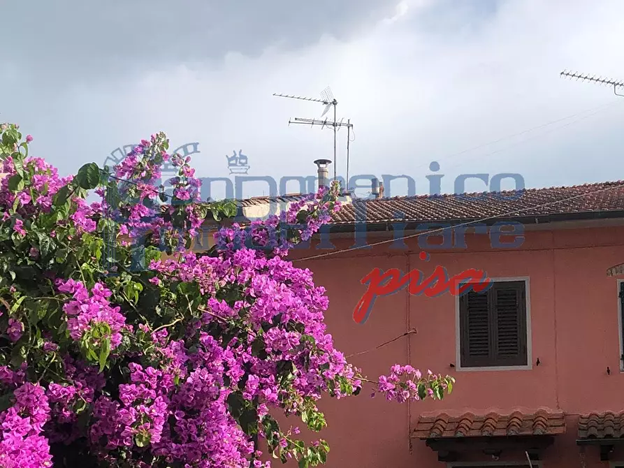 casa indipendente in vendita a San Giuliano Terme