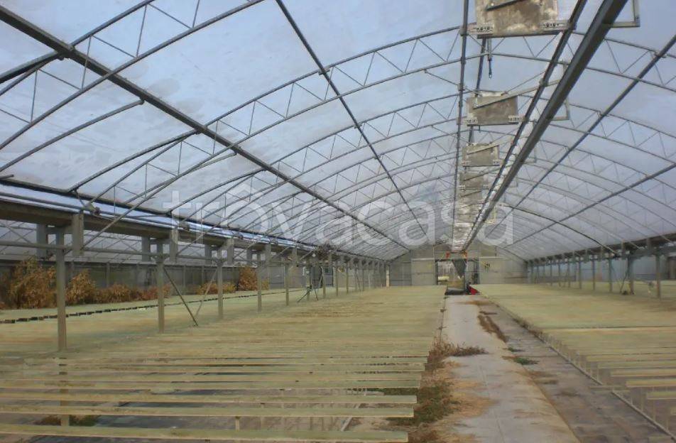 terreno agricolo in vendita a San Giuliano Terme in zona Rigoli