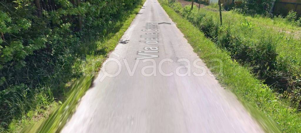 negozio in vendita a San Giuliano Terme in zona Arena-Metato