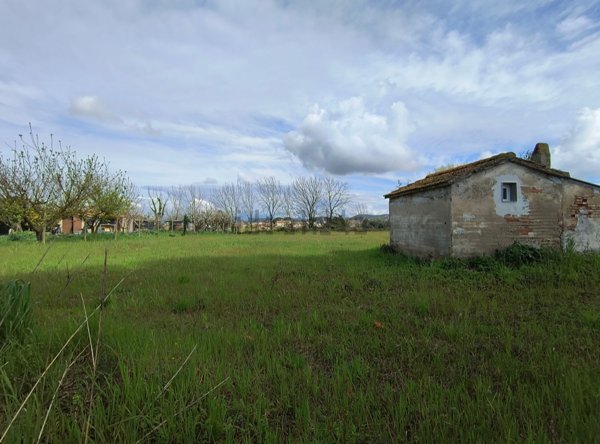 terreno agricolo in vendita a San Giuliano Terme in zona Arena-Metato