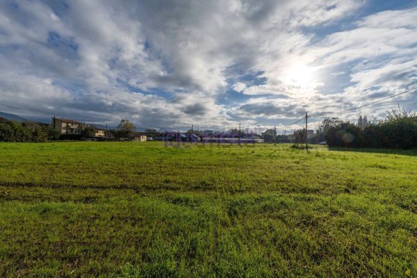terreno agricolo in vendita a San Giuliano Terme in zona Ghezzano