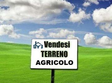 terreno agricolo in vendita a San Giuliano Terme in zona Colignola