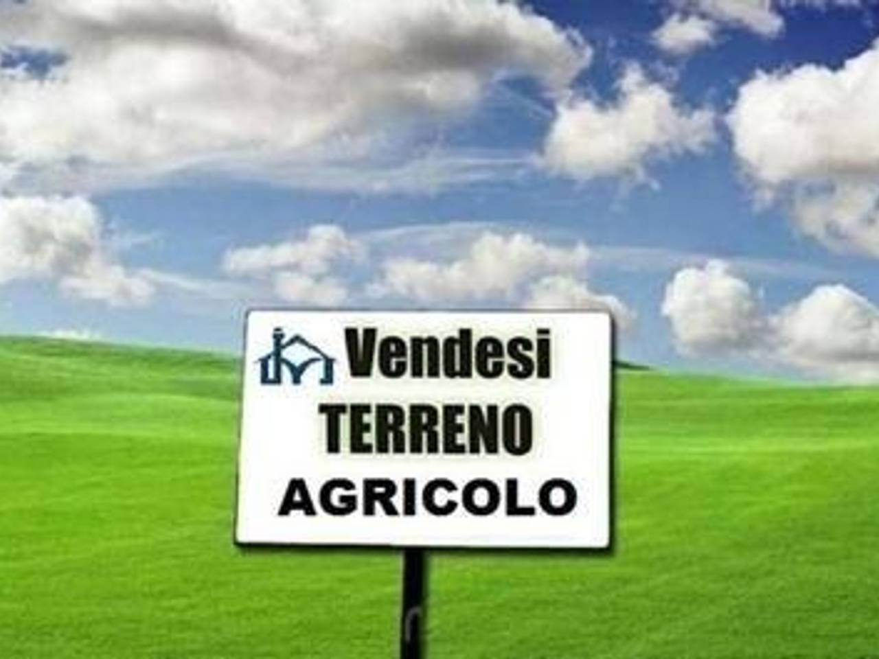 terreno agricolo in vendita a San Giuliano Terme in zona Colignola