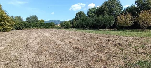 terreno agricolo in vendita a San Giuliano Terme in zona Pontasserchio