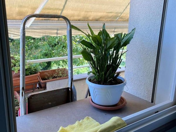 appartamento in vendita a San Giuliano Terme in zona Gello