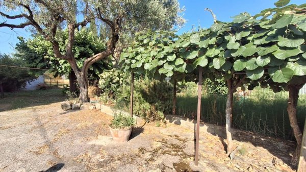 casa indipendente in vendita a San Giuliano Terme in zona Pontasserchio