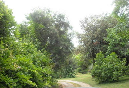 esavano in vendita a San Giuliano Terme in zona Agnano