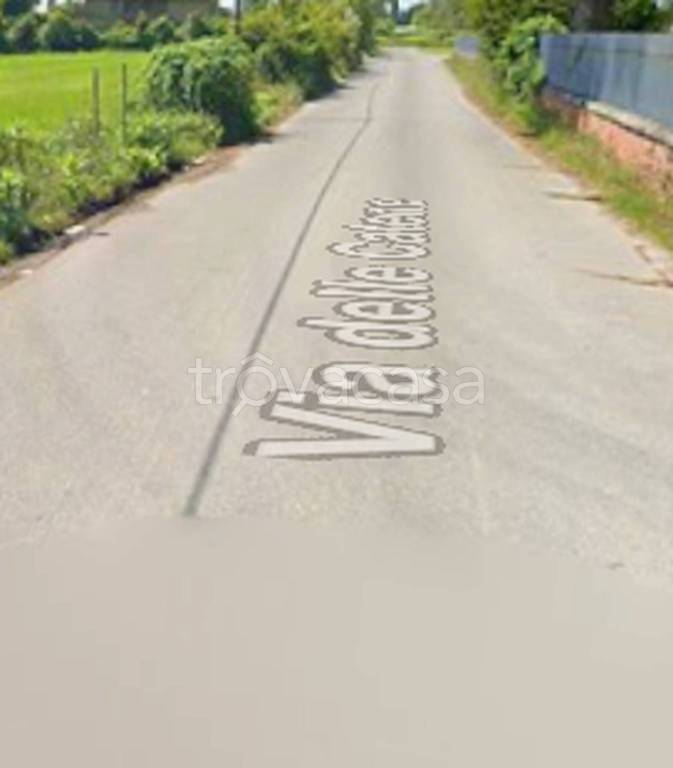 azienda agricola in vendita a San Giuliano Terme in zona Arena-Metato