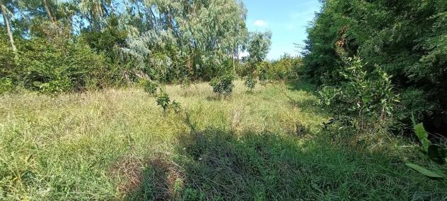 terreno agricolo in vendita a San Giuliano Terme in zona Pontasserchio