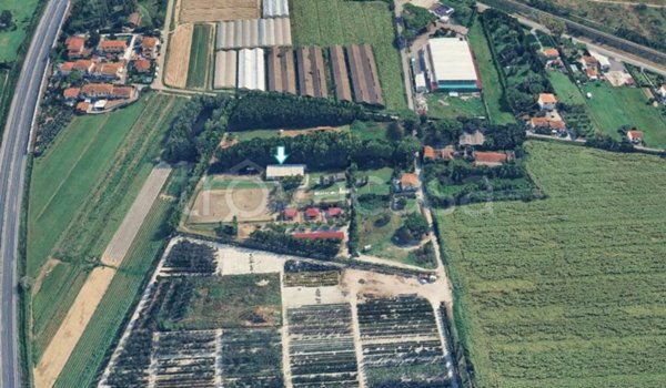 negozio in vendita a San Giuliano Terme in zona Campo