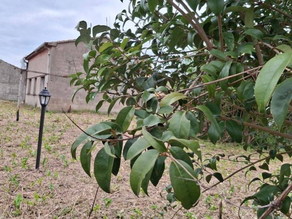appartamento in vendita a San Giuliano Terme